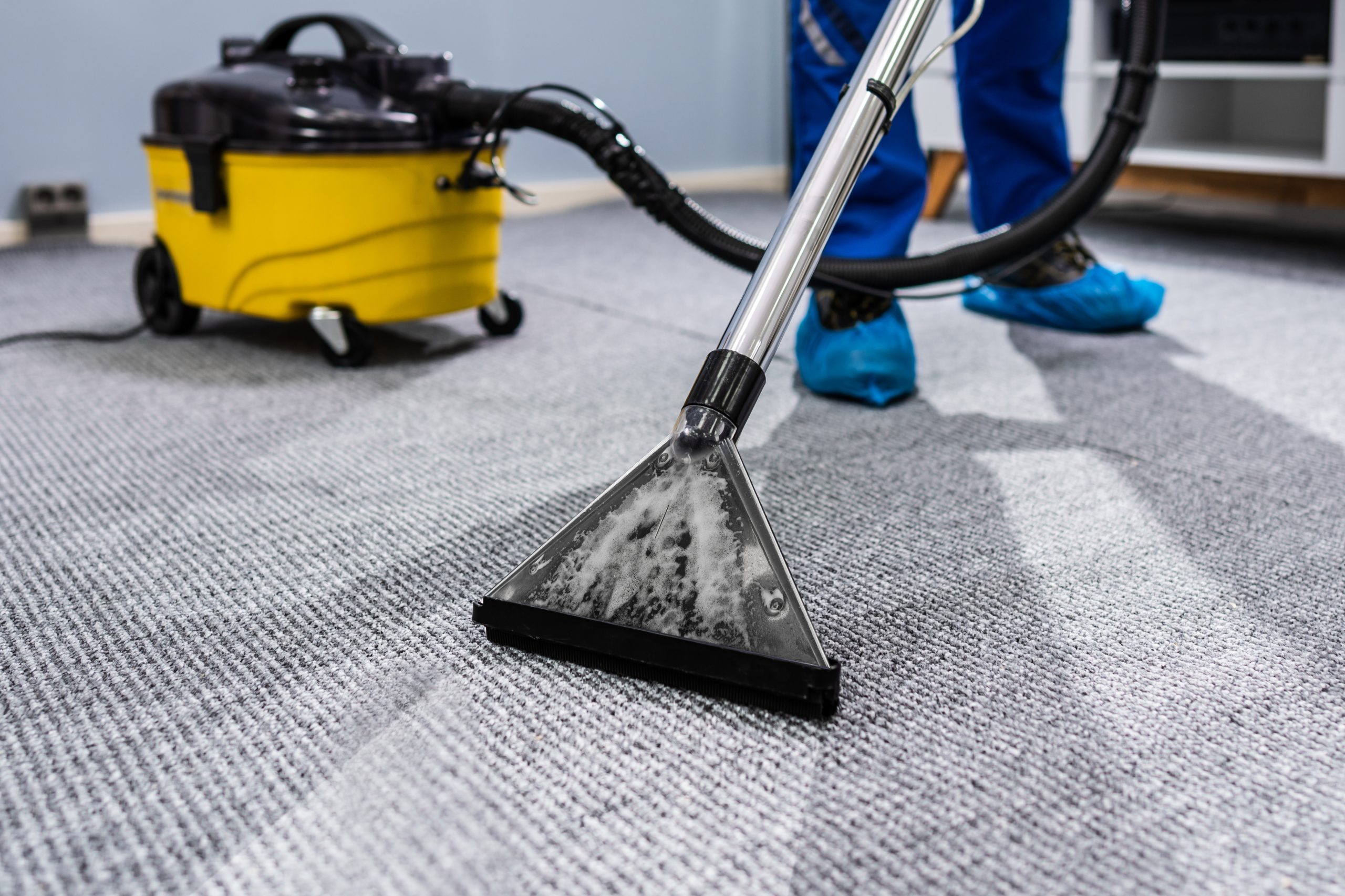 Professional carpet cleaning services image